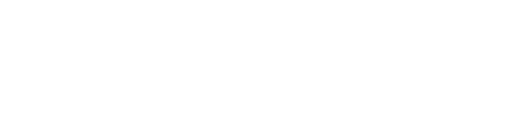 REVEGO-Disi-Logo