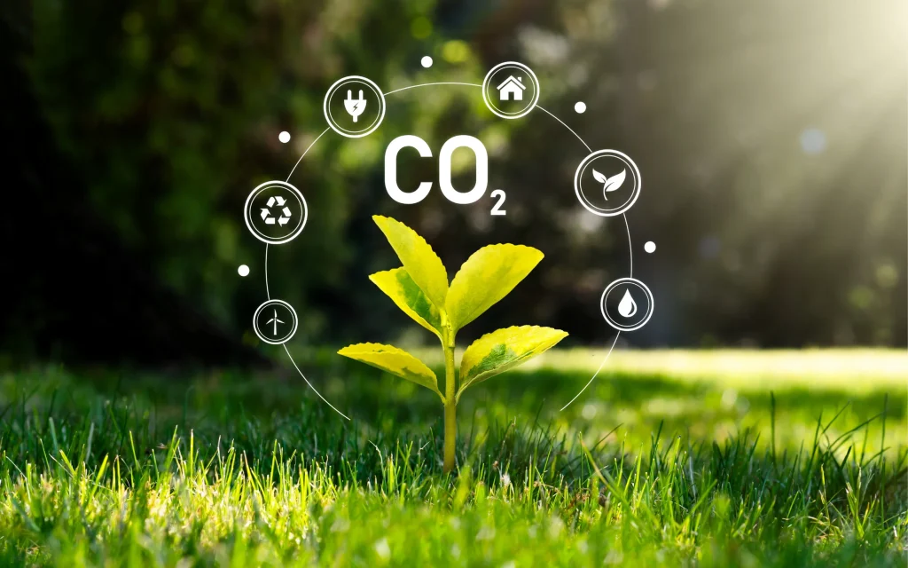 The Way to Protect Our Environment and Reduce Our Carbon Footprint