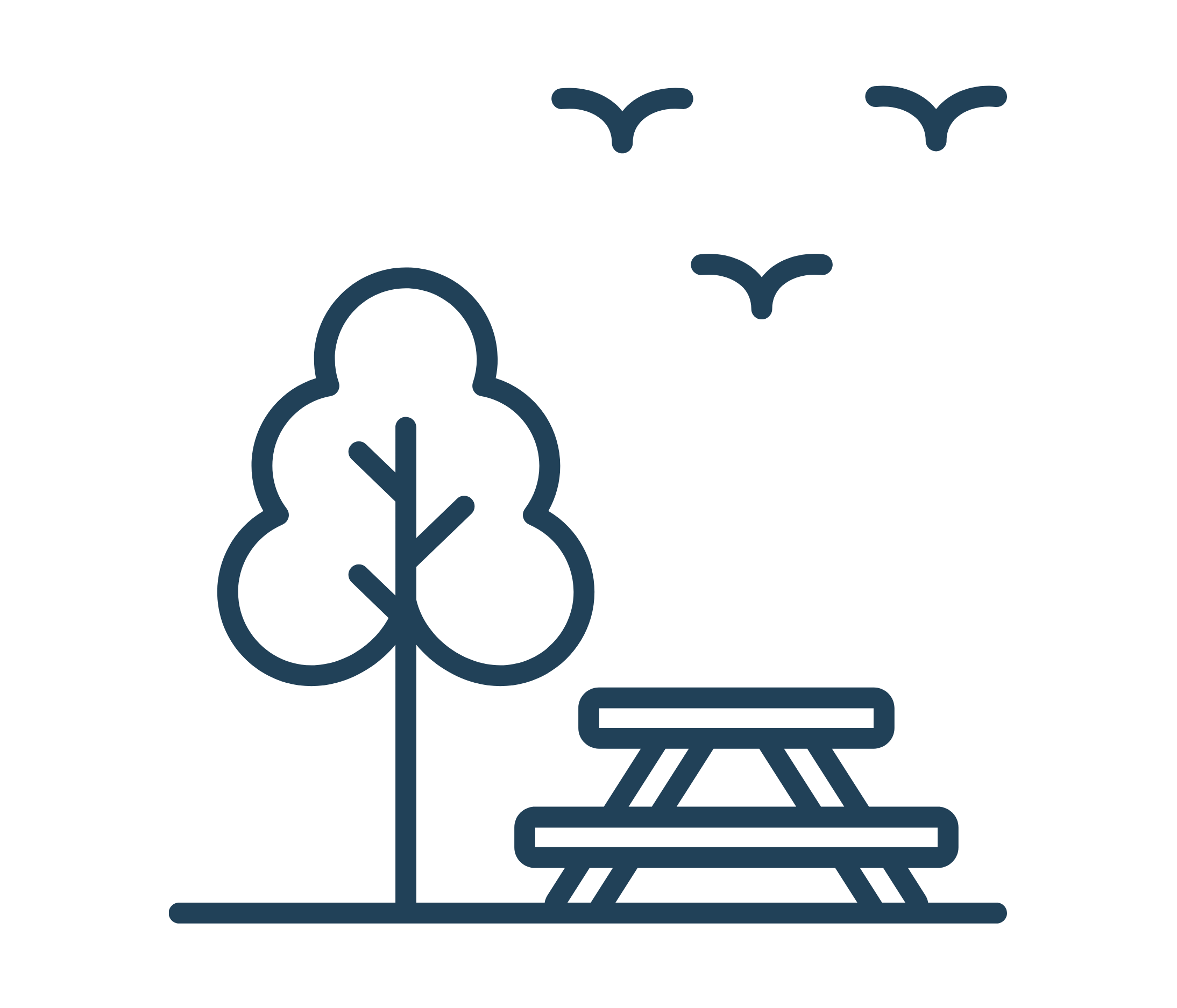 Public Domains