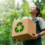 What Happens to Packaging Collected in Reverse Vending Machines?