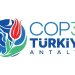 What Is COP31?
