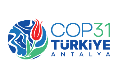 What Is COP31?