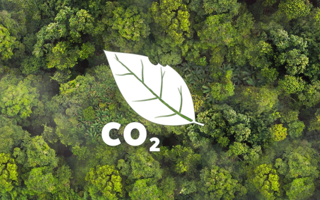 Can Carbon Equivalents Replace Money in the Future?