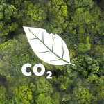 Can Carbon Equivalents Replace Money in the Future?