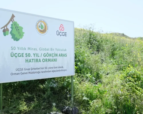 50.Yil-Hatira-Ormani