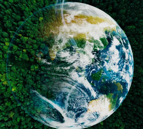 Reduce-Carbon